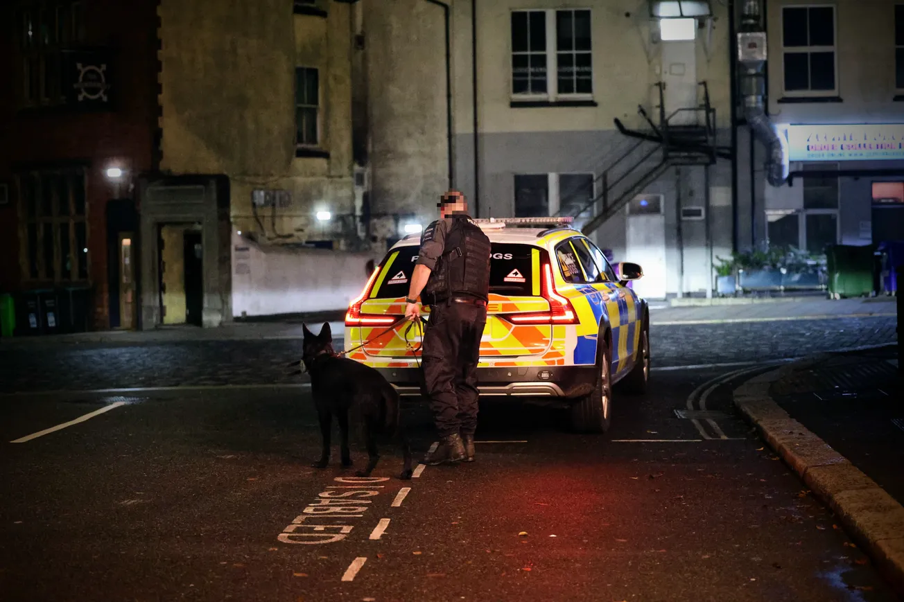 Man arrested after punch knocks victim unconscious and causes ear injury