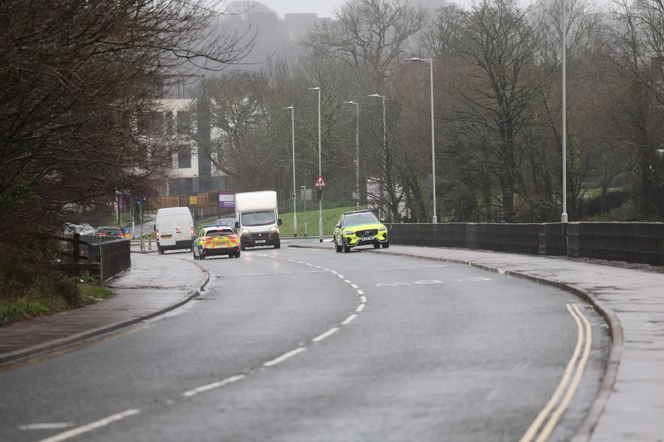 Quick thinking driver helps save woman on Plymouth bridge