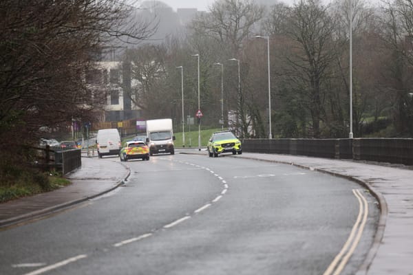 Quick thinking driver helps save woman on Plymouth bridge
