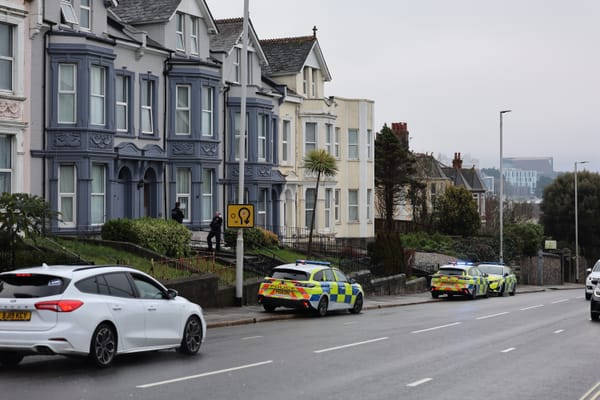 Woman arrested and taken to hospital after incident on busy road in Plymouth